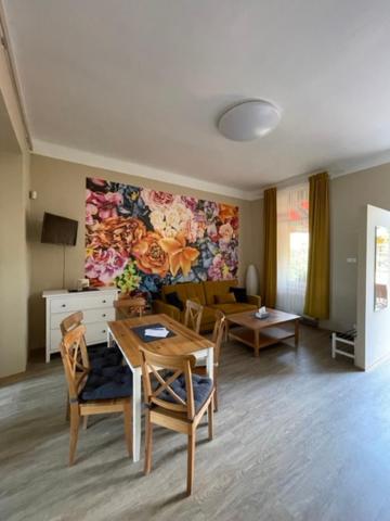 Apartman Galerie Decin Exterior photo